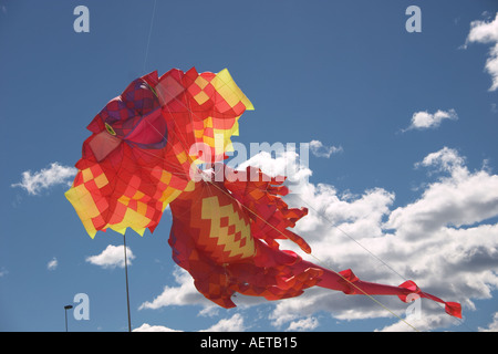 Drachen fliegen auf dem Festival des Windes am Bondi Beach-Sydney Stockfoto