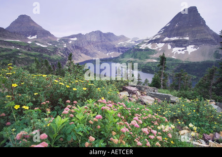 Wildblumen und versteckten See strauchige Fingerkraut gelb Columbine White Spiraea Glacier Nationalpark Montana USA Juli 2007 Stockfoto