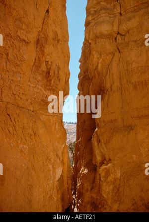 erodiert Landschaftsformen Bryce Canyon Utah Usa Stockfoto