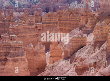 erodiert Landschaftsformen Bryce Canyon Utah Usa Stockfoto