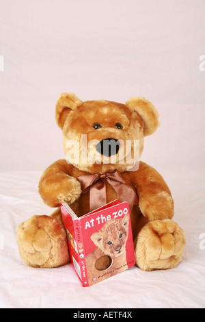 Traditionelle Stofftier Kinder brauner Teddybär aufrecht sitzend buchen At the Zoo lesen Kinder lustige komische humorvoll lachen Stockfoto