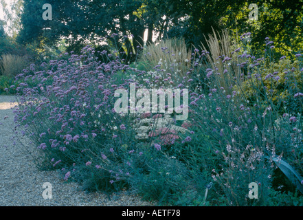 GRENZE BEI BETH CHATTO KIES GARTEN IN ESSEX Stockfoto