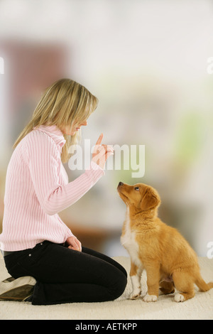 Bildung: Frau und junge Nova Scotia Duck Tolling Retriever Stockfoto