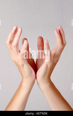 Weibliche Hände zusammengehalten aufrecht und offen im Zeichen der Einheit und des Friedens Finger spitz nach oben greifen auf der Suche nach etwas Stockfoto