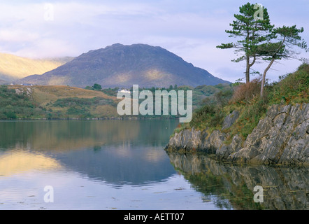 Clew Bay Halbinsel Wesport Bereich County Mayo Connacht Irland Irland Europa Stockfoto