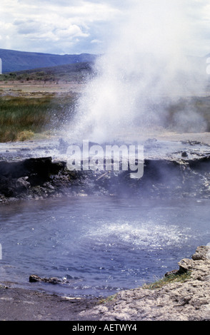 Eine kochende Geysir, Loburu Hot Springs, Lake Bogoria National Reserve, Nord-Kenia, Afrika Stockfoto