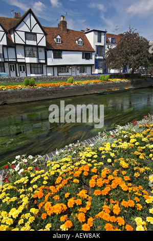 Blumen und tudor Häuser entlang dem Fluss Stour Westgate Gärten Canterbury Kent England Stockfoto