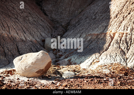 Petrified Forest Nationalpark, Holbrook, Arizona, Vereinigte Staaten von Amerika Stockfoto