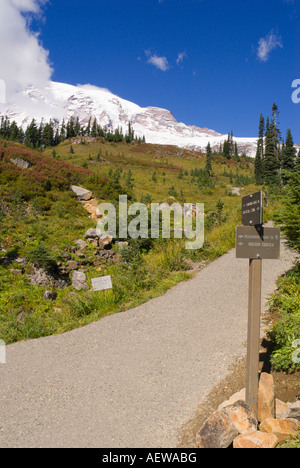 Mount Rainier von einer Kreuzung auf der Alta Vista Trail Paradies Park Mount Rainier Nationalpark Washington Stockfoto