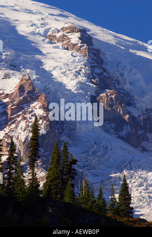 Nisqually Glacier Detail auf dem Mount Rainier vom Gletscher Vista Mount Rainier Nationalpark Washington Stockfoto