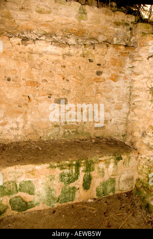 Costa Maya Chacchoben Maya-Ruine Tempelpyramide Grabkammer Stockfoto