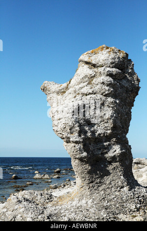 Natürliche Seastacks in Faro Gotland als Rauks bezeichnet. Dies ist bei Langhammar Stockfoto