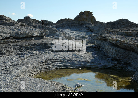 Steiniger Strand auf Fårö-Gotland Stockfoto