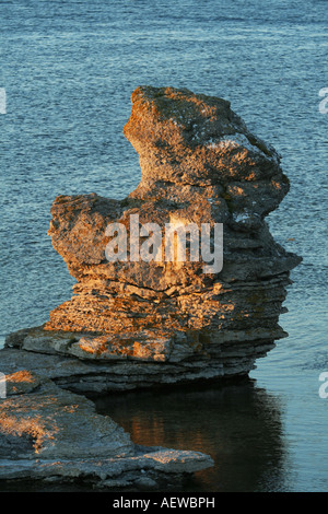Natürliche Seastacks in Faro Gotland genannt Rauks dieser Rauk im Wasser Gamla Hamnøya steht Stockfoto