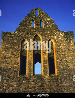 Dunbrody Abbey Co. Wexford, Irland Stockfoto