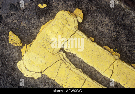Detail aus direkt oberhalb von gerissenen und blass gelbe Doppellinien mit Ende Bar übermalt viermal auf getragen graue Asphaltstraße Stockfoto