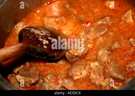 Gulasch in einem Topf kochen Stockfoto