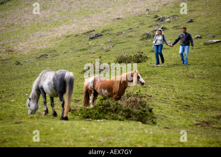 Wanderer und Welsh Mountain Ponys in das Tal der Ewyas Brecon Beacons Nationalpark Powys Wales Stockfoto