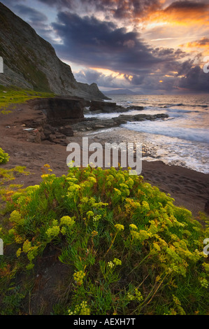 Küste am Tunel Boca Beach, Bizcay, Baskisches Land, Spanien. Costa De La Playa de Tunel Boca, Vizcaya Pais Vasco Vizcaya España Stockfoto