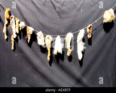 Deutschland Bayern Kaltenberg Ritterturnier Ritter Mittelalterfest Stockfoto