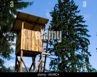 Jagd-Jagd Hunter Hütte Ansicht Höhe Höhe beobachten Übersicht Jäger Wald Warden Holz Ferienhaus Blockhaus Haus Turm scaffo Stockfoto