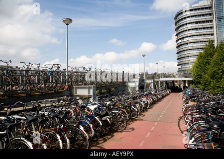 Parkplatz für Fahrräder, Hauptbahnhof, Amsterdam, Niederlande Stockfoto