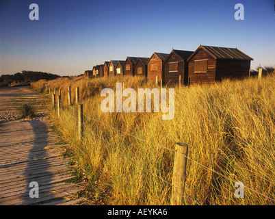 Strand Hütten Dorset, Isle of Purbeck in der Abenddämmerung in der Sommerzeit in England an einem traditionellen Strand Stockfoto