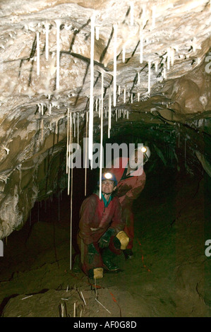 männliche und weibliche Höhlenforscher inspiziert Formationen einschließlich Stroh, die Stalaktiten in der neu entdeckten Notts II auf Leck fiel Yor Höhle Stockfoto