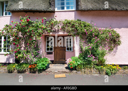 Dunster Dorf Reetdach Reetdachhaus Somerset England UK GB EU Europa Stockfoto