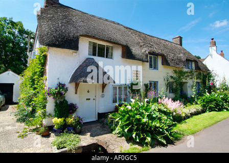 Dunster Dorf Reetdach Reetdachhaus Somerset England UK GB EU Europa Stockfoto