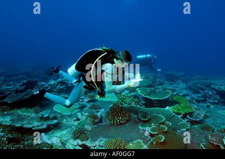 Stuart Sandin und Edward Demartini auf Fisch-Umfrage. Tabuaeran (Fanning) Insel, Kribati. Stockfoto