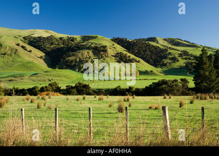 Ackerland in der Nähe von Martinborough Wairarapa Nordinsel Neuseeland Stockfoto