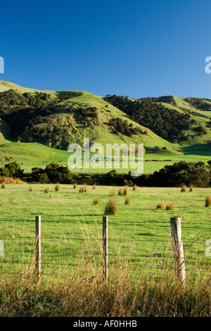 Ackerland in der Nähe von Martinborough Wairarapa Nordinsel Neuseeland Stockfoto