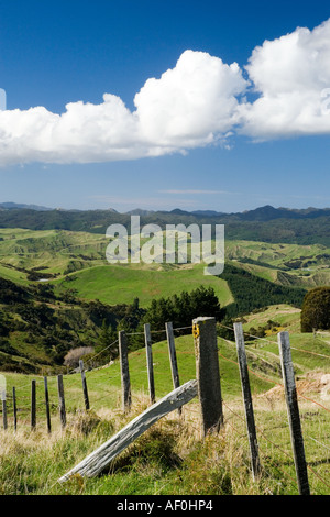 Ackerland in der Nähe von Martinborough Wairarapa Nordinsel Neuseeland Stockfoto