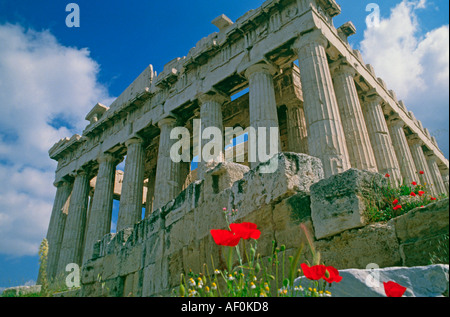 Parthenon mit Mohnblumen, Athen, Griechenland Stockfoto