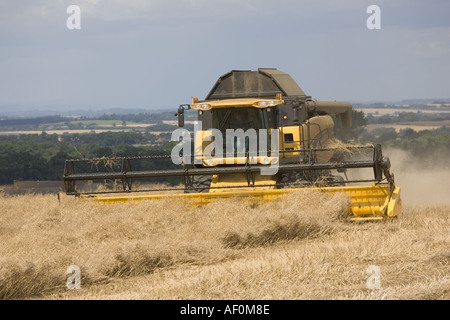 Kombinieren Sie Ernte in das Dorf von Stanton Cotswolds UK Stockfoto