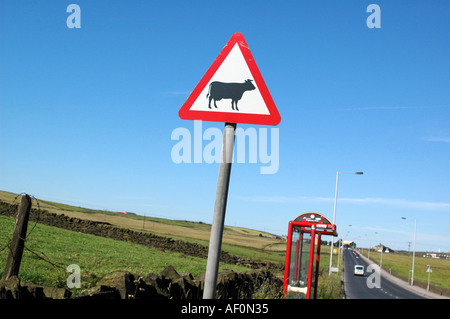 Dreieckige Schild Warnung Vorsicht bei Rindern, die Kreuzung am Straßenrand West Yorkshire England UK Stockfoto