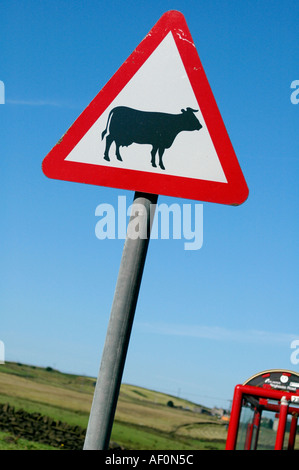 Dreieckige Schild Warnung Vorsicht bei Rindern, die Kreuzung am Straßenrand West Yorkshire England UK Stockfoto