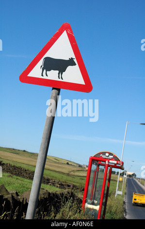 Dreieckige Schild Warnung Vorsicht bei Rindern, die Kreuzung am Straßenrand West Yorkshire England UK Stockfoto