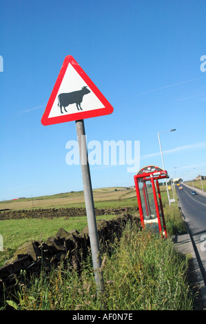 Dreieckige Schild Warnung Vorsicht bei Rindern, die Kreuzung am Straßenrand West Yorkshire England UK Stockfoto
