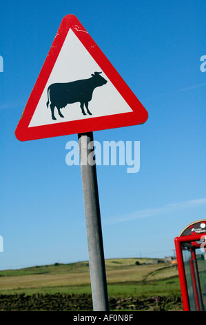 Dreieckige Schild Warnung Vorsicht bei Rindern, die Kreuzung am Straßenrand West Yorkshire England UK Stockfoto