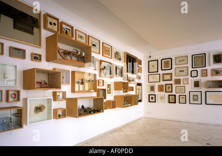 Moyland, Museum Schloß Moyland, Sammlung van der Grinten, Raum 41, Plastische Bilder von Joseph Beuys Stockfoto