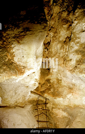 Carlsbad Caverns Leiter Antik nach unten Stockfoto