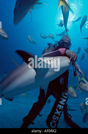 Scuba Diver Fütterung Hai Grand Bahama Island Bahamas-Inseln Stockfoto