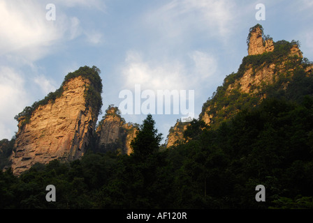Kalkstein-Rock-Formation, Ernte zum ersten chinesischen National Park in Zhangjiajie und Wulingyuan Stockfoto