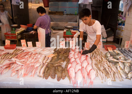 Kaufen Sie verkaufen frischen Fisch in Wan Chai lebhafte Lebensmittelmarkt auf Bowrington Straße. Hong Kong. Stockfoto