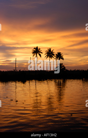 SUNSET OVER KUTTANAD SEE Stockfoto