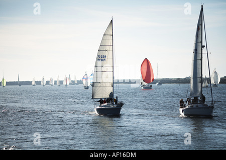 Große Segelschiffe kommen in den Hafen in Marina del Rey, Los Angeles County, Kalifornien, USA Stockfoto