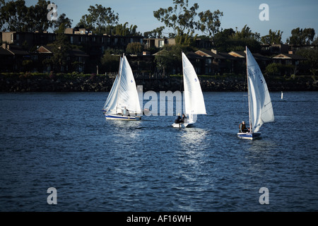 UCLA Segelboote Praxis in Marina del Rey, Los Angeles County, Kalifornien, USA Stockfoto