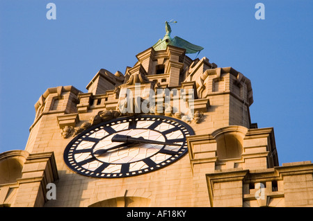 Ziffernblatt der Liverpool Royal Liver Buildings Stockfoto